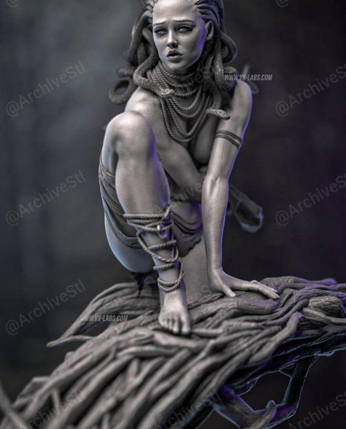 美杜莎(Medusa) 3D打印图纸